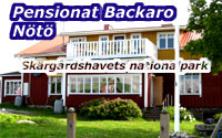 Bed and Breakfast - the island of Nötö