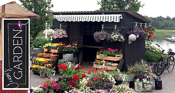 Nagu-Jennis-garden-pic1