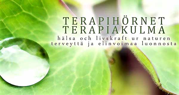 Terapiakulma Parainen